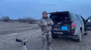 Охота на хищника с электронным манком iCOtec