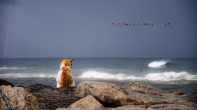 Dub Techno Session #15 смотреть онлайн