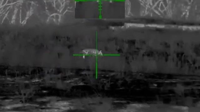 9. Охота на хищника в Ростовских степях. Карабин CZ557 .308win, прицел Guide TR430 смотреть онлайн