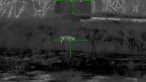 9. Охота на хищника в Ростовских степях. Карабин CZ557 .308win, прицел Guide TR430