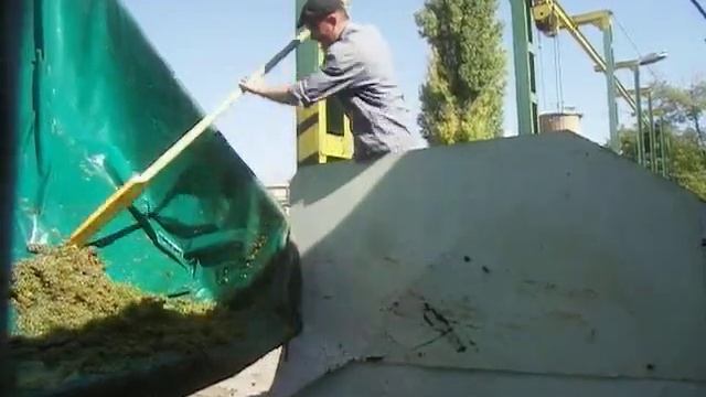 Изготовление Кошерного вина смотреть онлайн