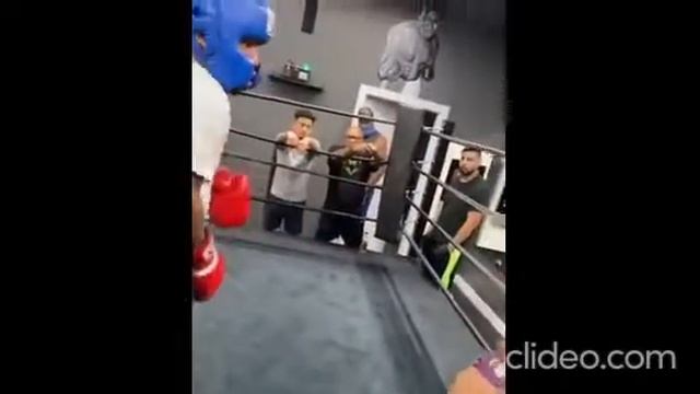 Sparring Gervonta Davis vs Ivan Redkach I Спарринг Джервонты Дэвиса и Ивана Редкача смотреть онлайн