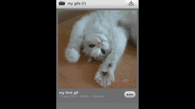 Giffer Pro - Create Animated GIFs - Mini Video Tutorial смотреть онлайн