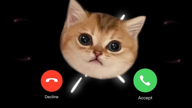 EP.1 Ringtone iphone | cat 2️⃣Ⓜ️view смотреть онлайн