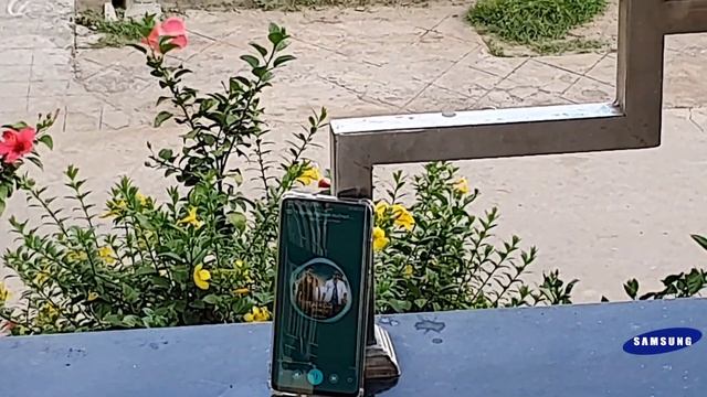 Samsung Note 10 Plus vs Iphone XS Max Camera comparison in Telugu смотреть онлайн