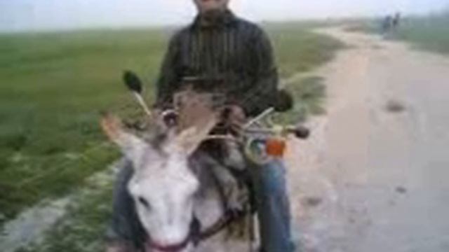 самый экономичный транспорт (прикол!!!!)