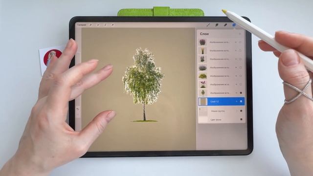 Открытый урок Ландшафтный коллаж в Procreate #коллажи#прокриэйт#пнг#стилус#ландшафтныйпроект смотреть онлайн