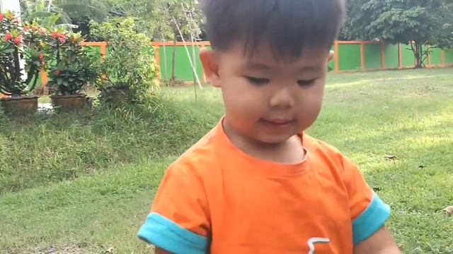 รถของเล่นของเด็กๆๆ รถแม็คโคร,รถแบคโฮ,รถขนดิน,รถตักดิน,รถแมคโค,รถบรรทุก,รถสิบล้อ,รถขุด смотреть онлайн