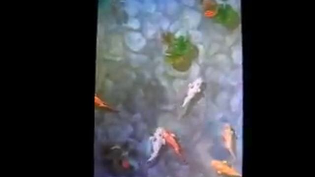 iPhone App of the Week 8.8.08 - Koi Pond смотреть онлайн