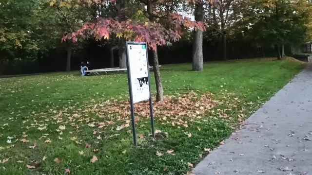 Из Германии в Россию. Видео по запросу подписчиков. #germany #russia #moscow смотреть онлайн