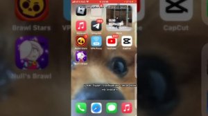КАК СКАЧАТЬ НУЛСС БРАВЛ НА IOS без скарлет?РЕШЕНИЕ ЗДЕСЬ!
