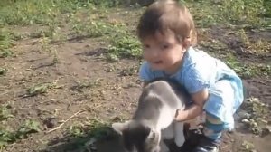 Детская песенка - Серенькая кошечка