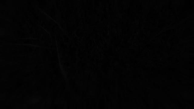 A religious experience in Far Cry 2 смотреть онлайн