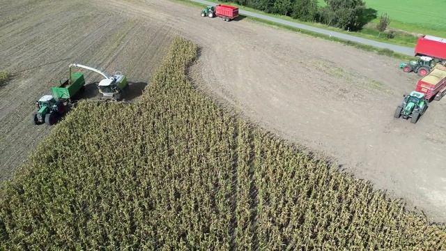 CLAAS JAGUAR 960 am Mais häckseln & Überladen auf LKW´s / DEHR AGRARSERVICE & OSTERS & VOß / 4K смотреть онлайн