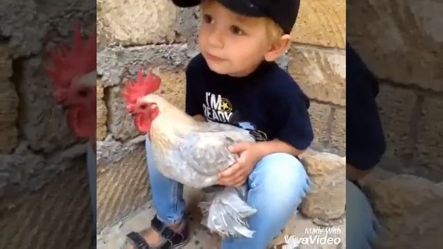 Цып - цып мои цыплятки🐣🐥 смотреть онлайн