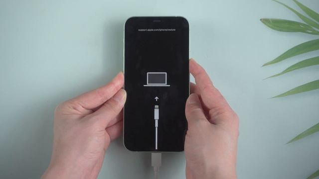 Forgot iPhone 12 Passcode? 4 Ways to Unlock It! смотреть онлайн