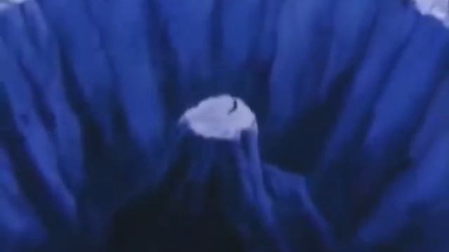 Pain of Vegeta - dragonball Z AMV.mp4 смотреть онлайн