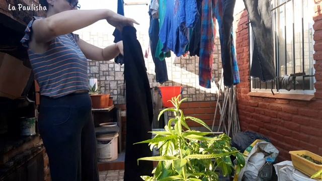 VLOG un Dia de LAVAR ROPA 🧺 + una RECETA de MAC AND CHEESE VEGANO🧀|| La Paulisha смотреть онлайн