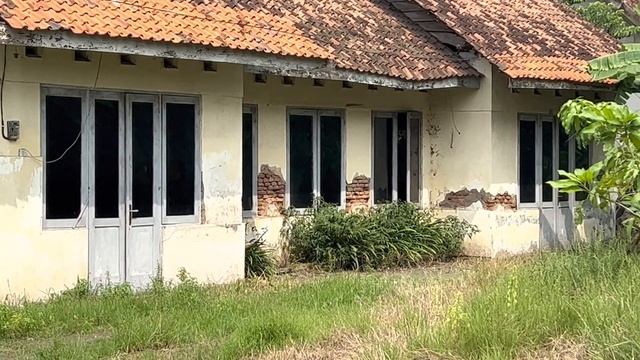 Test Video 4K iPhone 13 Pro Dolby Vision Pro Res RAW смотреть онлайн