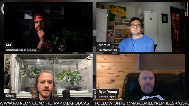 Chris Rice speaks on why you should NOT spray your Emerald Tree Boas | All In The Tree Tuesdays смотреть онлайн
