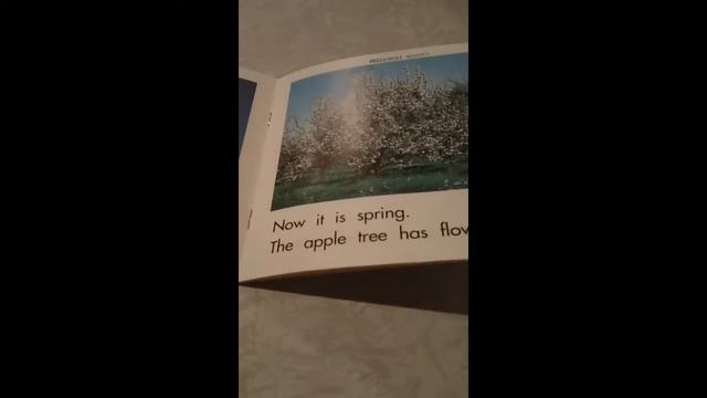 Children's Book Read Aloud - Apple Tree Year смотреть онлайн