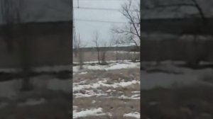 Охота на зайца #природа #hunting #охотаназайца #franchiaffinity