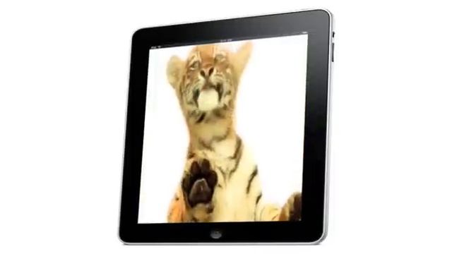 Paris Hilton "Clean your apple iPad" best app смотреть онлайн
