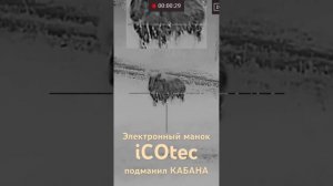Подманил манком кабана