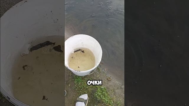 все серии типичная рыбалка