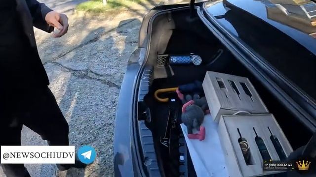 Отправляем подарки победителям новогоднего розыгрыша | Подарки от АН "Сочи ЮДВ" смотреть онлайн