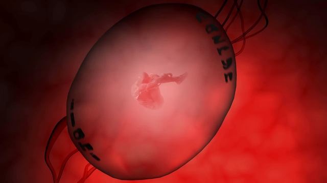 Nazryn - İlahi ( Official Audio )