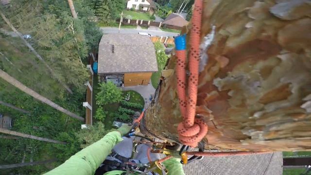 tree climbing techniques, как залесть на дерево смотреть онлайн