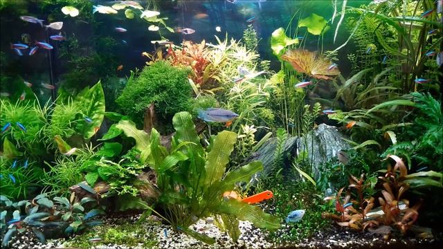 Ножиците на Ангел смотреть онлайн