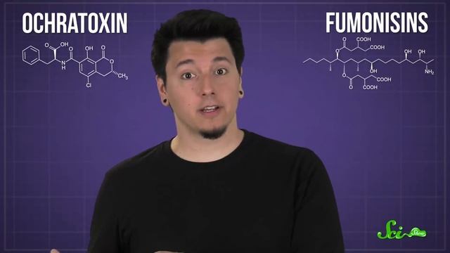 What Happens If You Eat Mold? смотреть онлайн