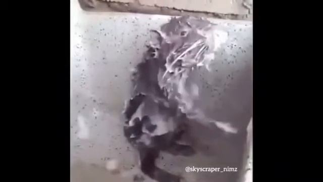 Мышка принимает душ. смотреть онлайн