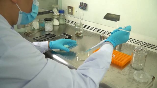 How dirty?! Bacteria culture experiment from the daily use smartphone! смотреть онлайн