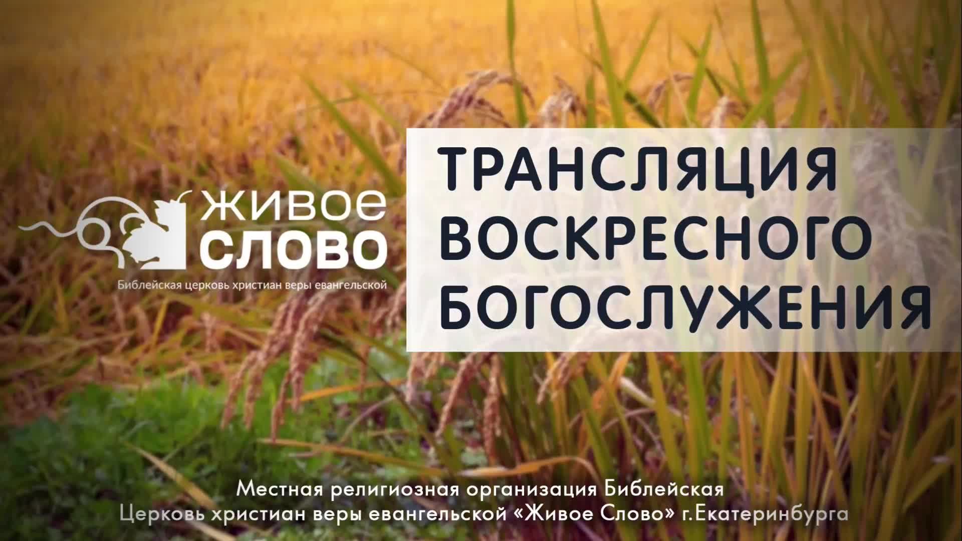 13 октября 2024 в 11:00 (ЕКБ) / Воскресное #богослужение / Церковь «Живое Слово» смотреть онлайн