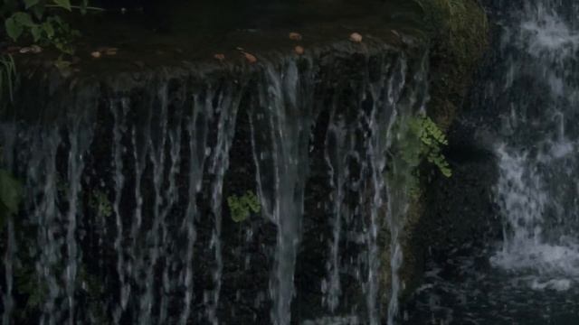 iPhone 15 Pro Cinematic Footage | 4K Slow Motion ProRes Log | Camera Test смотреть онлайн