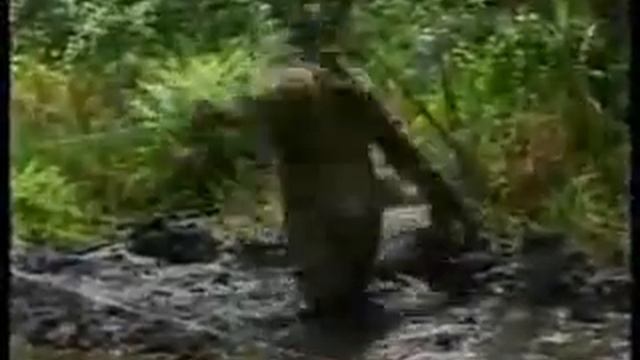 It's my lave смотреть онлайн
