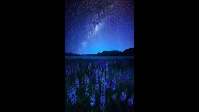 Black Wallpaper For Mobile Screen | Mobile Phone Wallpaper Images | Beautiful Wallpaper | Wallpaper смотреть онлайн