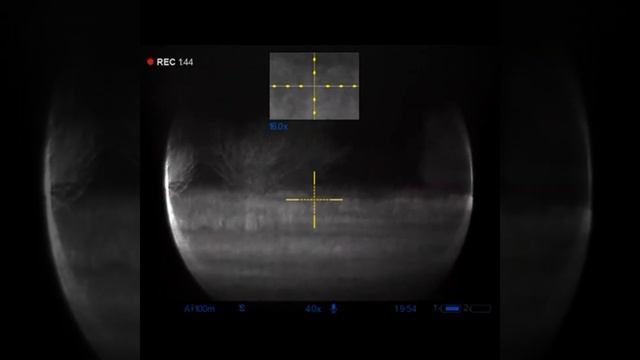 Два дня охоты на шакала. смотреть онлайн