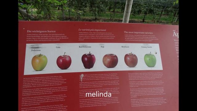 Austria.Bavaria 2023. .3 Parte 3