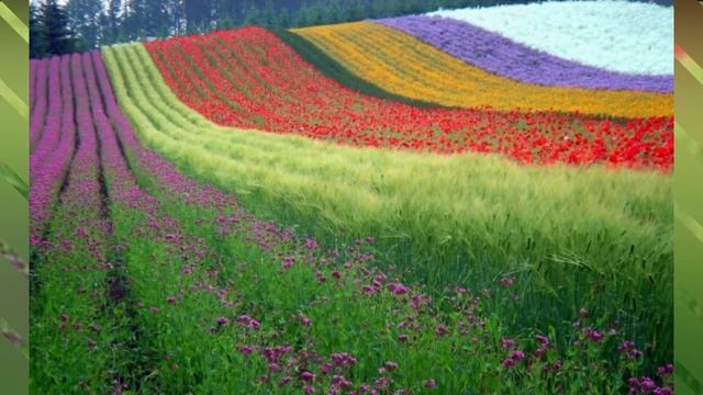 EHTIROSLI VOQEA 2-QISM,FAQAT KATTALAR KO'RSIN! DAXSHAT TEZ KO'RING. смотреть онлайн