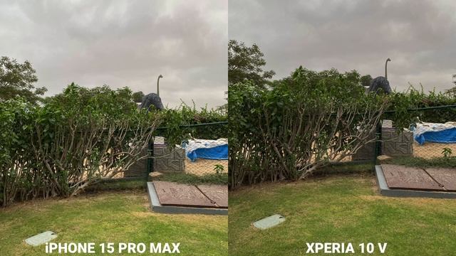 iPhone 15 Pro Max Vs Sony Xperia 10 V Camera Test Comparison смотреть онлайн