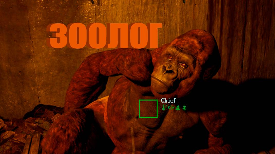 зоолог в Zoochosis