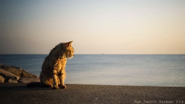 Dub Techno Session #29 смотреть онлайн