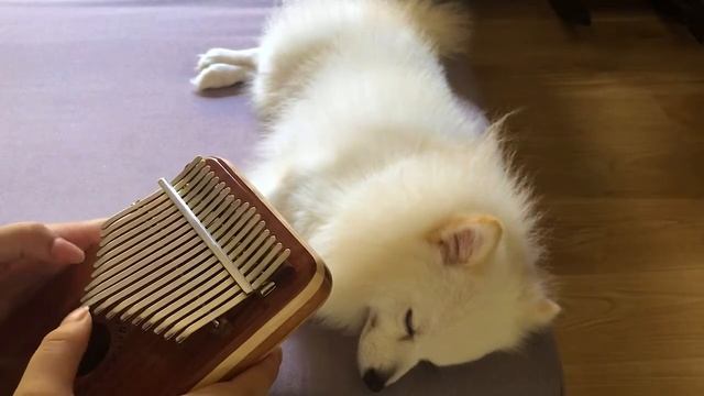 Brahms Lullaby Kalimba Cover смотреть онлайн