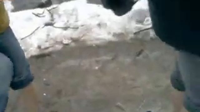 Придурки из Костромы...(зима -22).mp4 смотреть онлайн