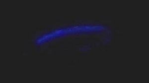 Samsung Logo History (X1 - X16 Speed)