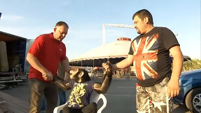 В Оренбург приехал ЕвроЦирк смотреть онлайн